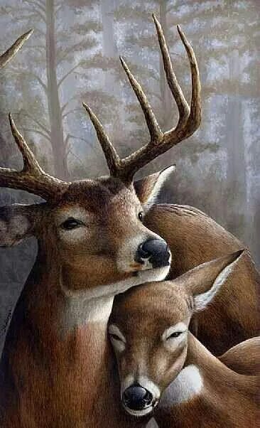 Deer love. Deer love. Олень живопись. Олень в лесу. Олени любовь открытка.