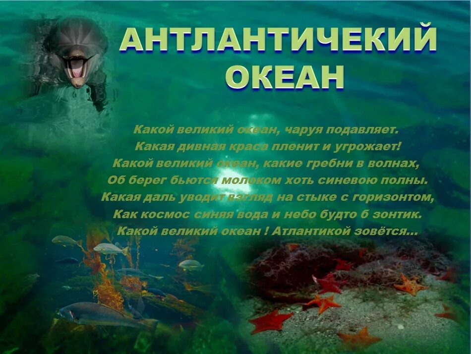 Тихий океан высказывания. Стих про океан. Стихи про океан для детей. Стихи об океане короткие и красивые. Стихи про океан короткие.