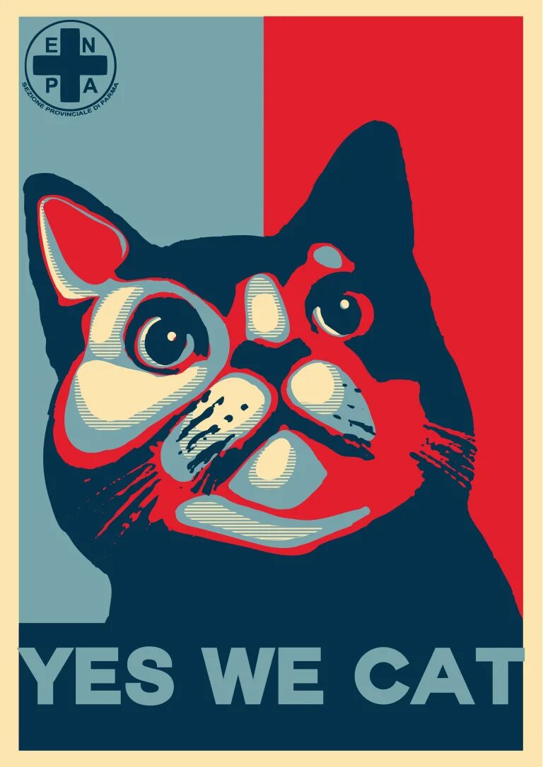 Yes we cat нашивка. Вылеты под обрез. Постер cat. We can do it cat. We cat.