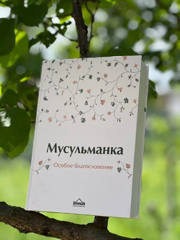 мусульманка особое благословение. книга мусульманка 2021. книга мусульманка автор. мусульманка особое благословение. книга особая благословенная мусульманка.