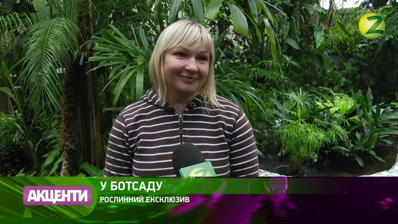 Ботанический сад платный. Ботанический сад самара. Ботанический сад твгу. Ботанический сад мгу оранжерея. Ботанический сад самара дендрарий.