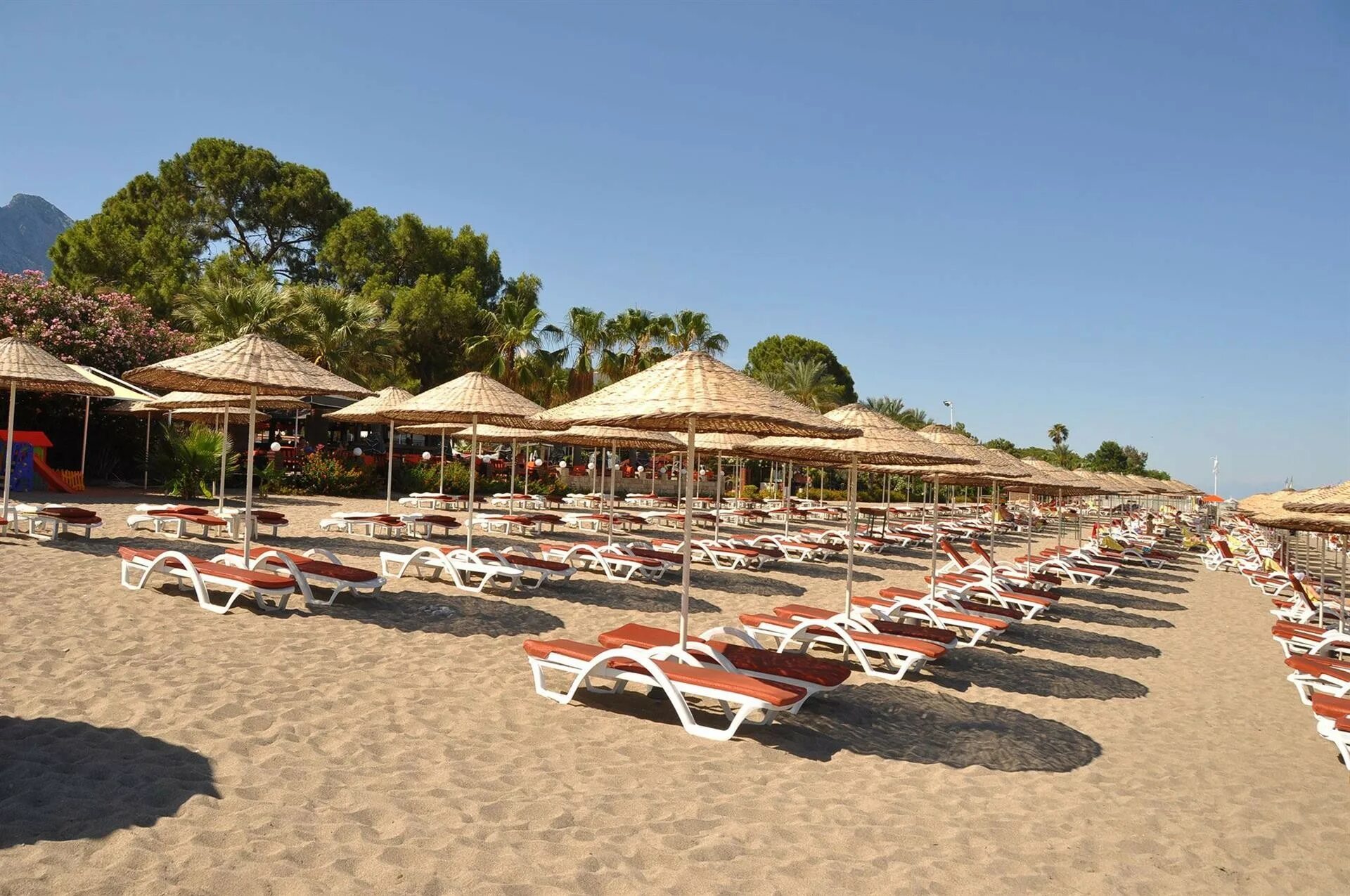 Club Boran mare Beach 5. Кемер Боран Маре отель. Боран Маре Бич Турция. Club Boran mare Beach 5 пляж. Боран кемер бич