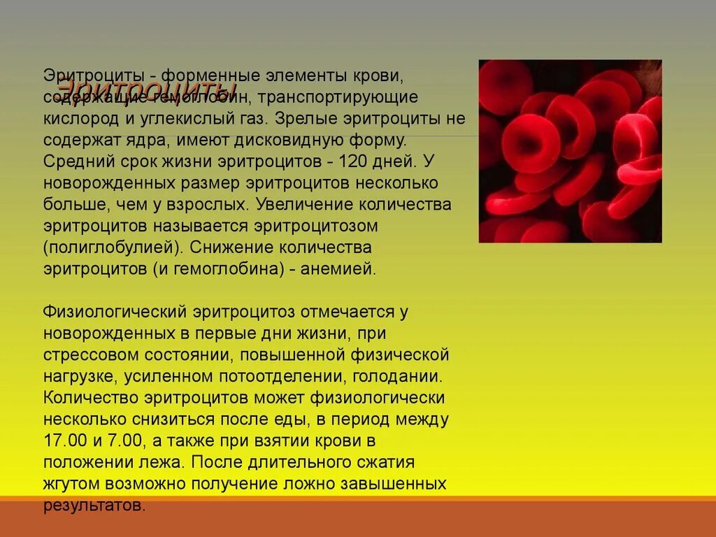 При каком заболевании эритроцитов. Эритроциты. Повышено эгитроцитв и гемоглобина. Эритроциты в крови. Форменные элементы крови гемоглобин.