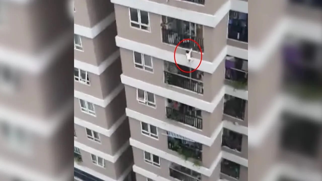 девушка спрыгнула из окна. девочка выпала из окна. девушка выбросилась с 11 этажа. девочка вышла из окна. девочка спускается по простыням.