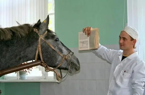 Что сдавать на егэ на ветеринара