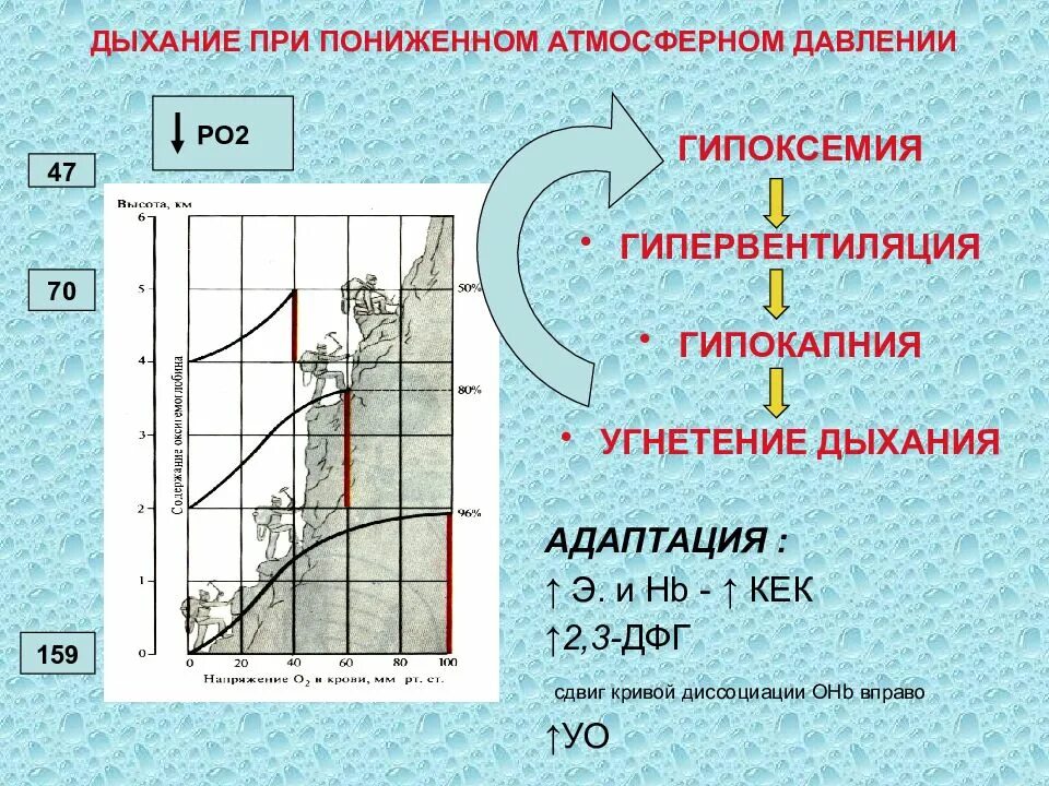 Снизить давление дыханием. Дыхание при пониженным атмосферным давлением. Дыхание в условиях повышенного и пониженного атмосферного давления. Изменение давления при дыхании. Дыхание при понижении давления.