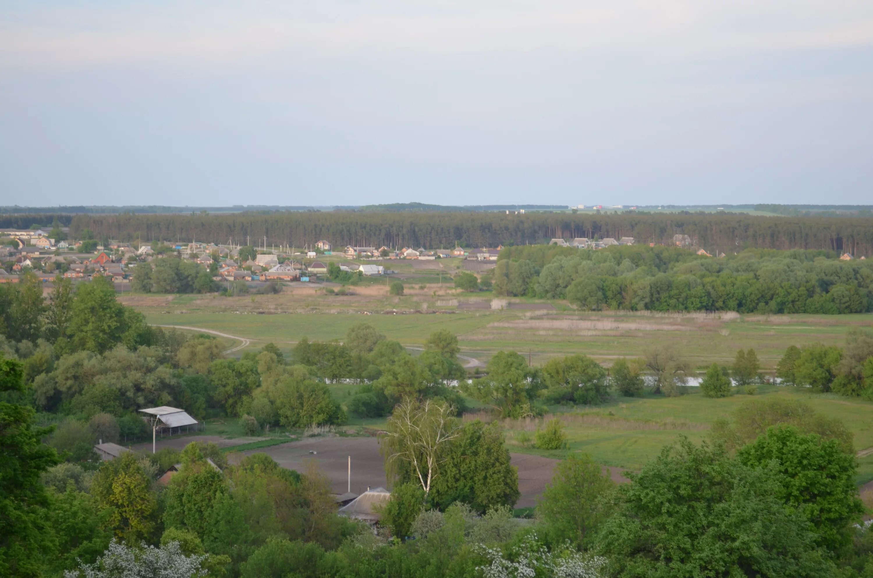 Село новая Таволжанка Белгородской. Село Новотаволжанка Шебекинский район Белгородская область. Новая Таволжанка Шебекинского округа. Шебекинский район село новая Таволжанка.