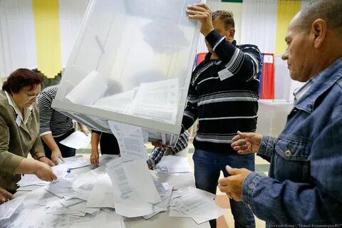 Калининградские выборы