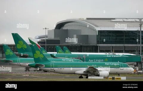 Ana lingus