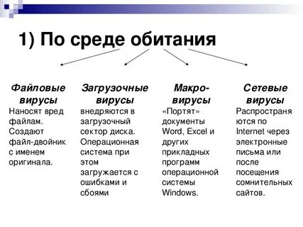 Среда обитания сетевых вирусов