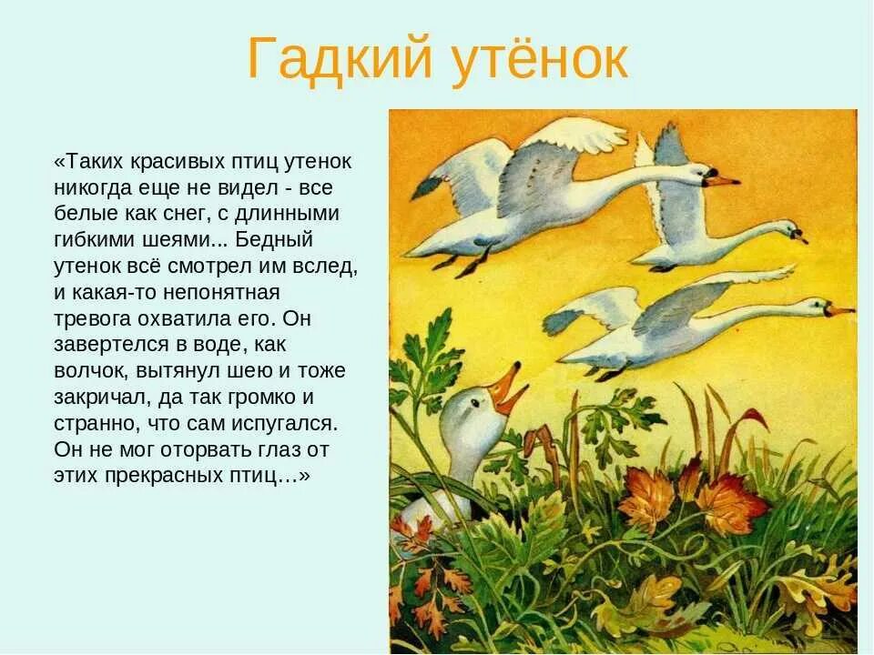 Аннотация к сказке Гадкий утенок 4. Пересказ сказки Гадкий утенок. Произведение Ганса Христиана Андерсена Гадкий утенок. Гадкий утёнок краткий пересказ. Сказка гадкий утенок дневник