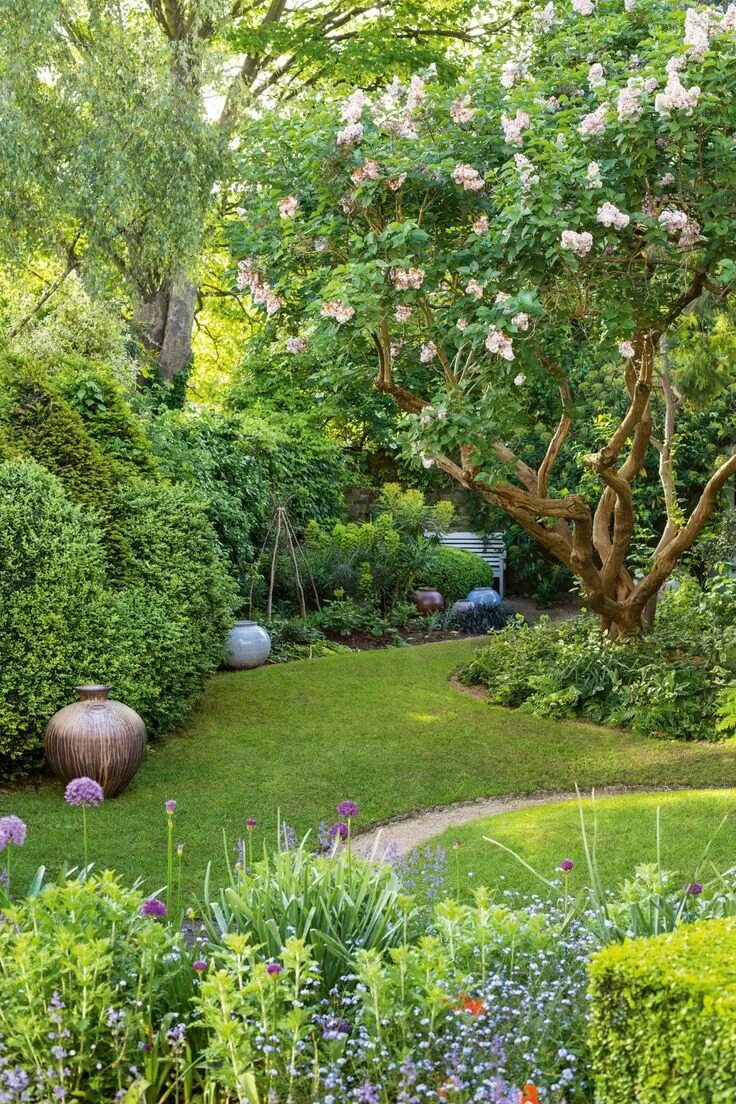 Сад деревьев и кустарников фото Sumptuous Coral Bark Japanese Maple vogue Seattle Traditional Landscape Innovati
