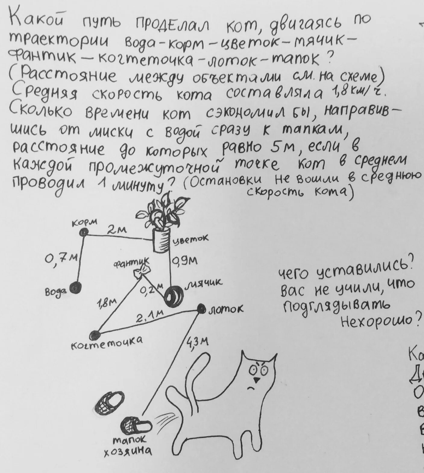 Закон сохранения кота. Физика в котиках. задачи по физике в котах. задача с котиками. задания с котиками.