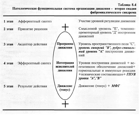 Конструктивная теория функций бернштейн. Таблица по бернштейну. бернштейн уровень тонуса примеры. организация движения бернштейна педиатрия. организация психики берштейн.