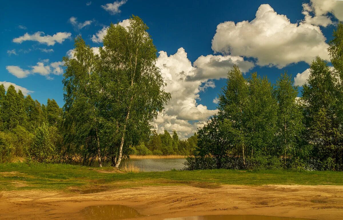 река волга просторы ульяновск. красота родной стороны. красота родной земли. донской тульская область пейзаж. красота родной стороны.