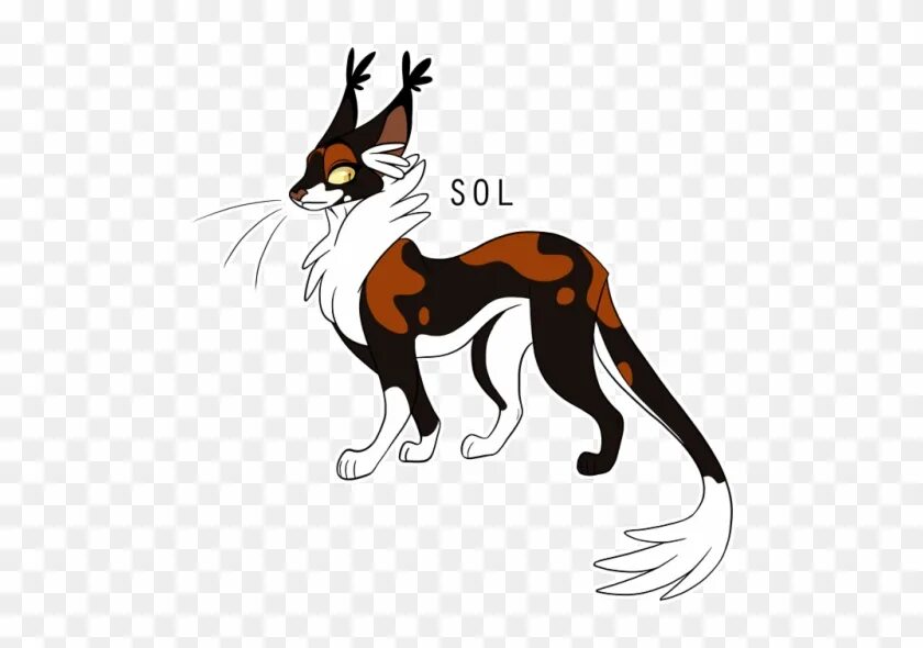 Кот сол. Коты воители сол. sol коты воители. сол кот коты воители. сол коты воители арт.