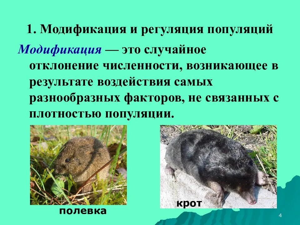 Регуляция популяции. Регуляция численности популяции. Популяция презентация. Численность популяций и ее регуляция в природе. Популяция кротовых.