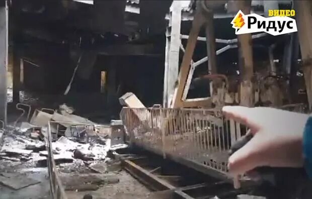 В каком году снимали зимнюю вишню