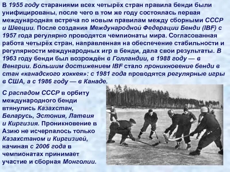 Проект по хоккею с мячом