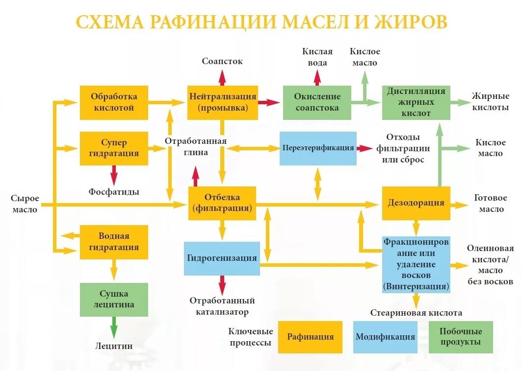 Процесс производства масла. Технологическая схема рафинации растительных масел. Технологическая схема рафинации подсолнечного масла. Схема технологического процесса производства подсолнечного масла. Производство хлопкового масла схема.