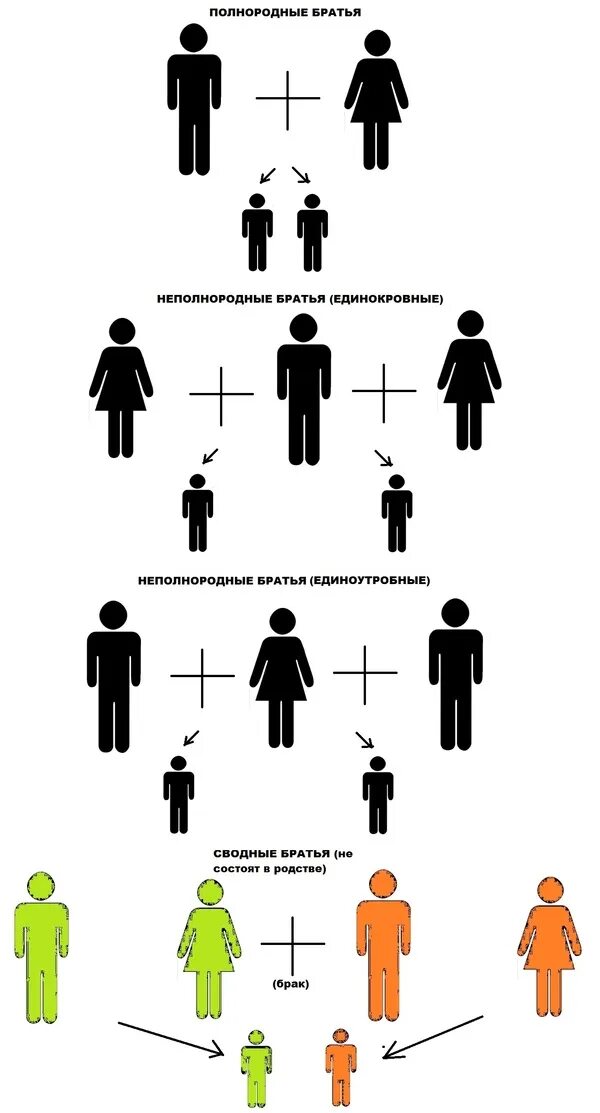 Что такое сводный брат или сестра. Что значит сводная сестра. Сводные братья и сестры это. Единокровный брат. Сводный брат т сестру