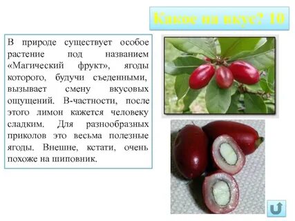 Особей растений
