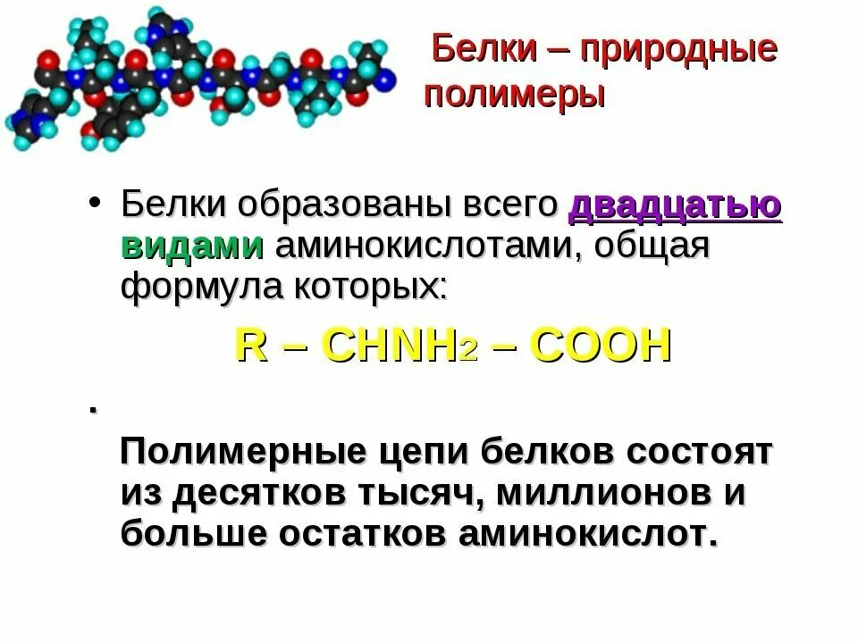 Является природным белком. Белки как природные полимеры. Химия 10 класс белки полимеры. Белок структура полимер. Полимеры белков структура.