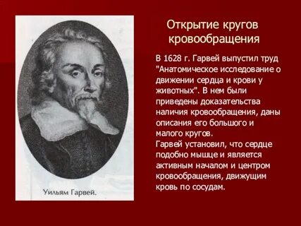 Гарвей кровообращение