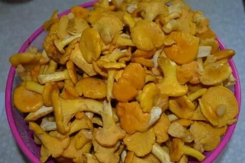Лисички на зиму пошагово