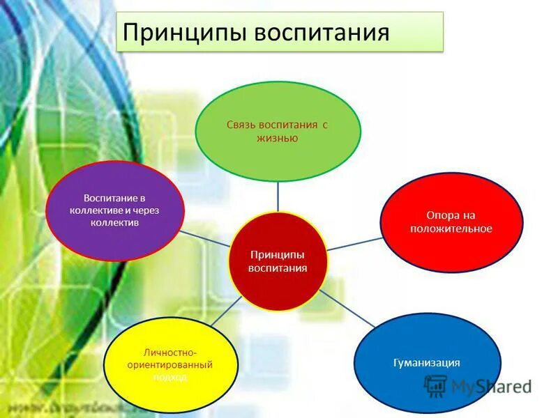 Связь воспитания и среды. Принцип связи воспитания с жизнью. Принципы воспитания. Идея связи воспитания с жизнью. Принципы воспитания связь воспитания с жизнью.