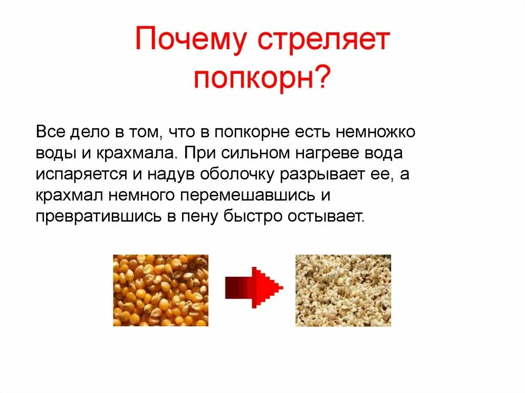 Исследовательская работа попкорн. Попкорн для презентации. почему стреляет попкорн. проект попкорн. попкорн взрывается.