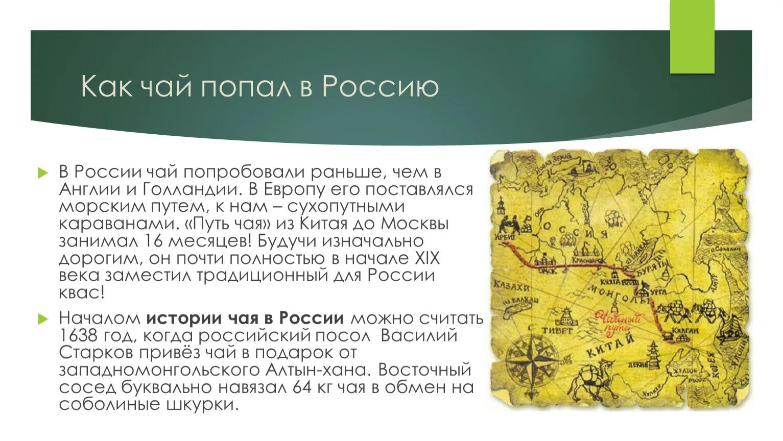 Сфр когда появился. История чая в России. История появления чая в России. Появление чая в России. История происхождения чая в России.