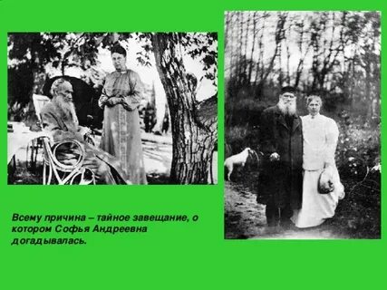 Жена толстого переписывала войну и мир