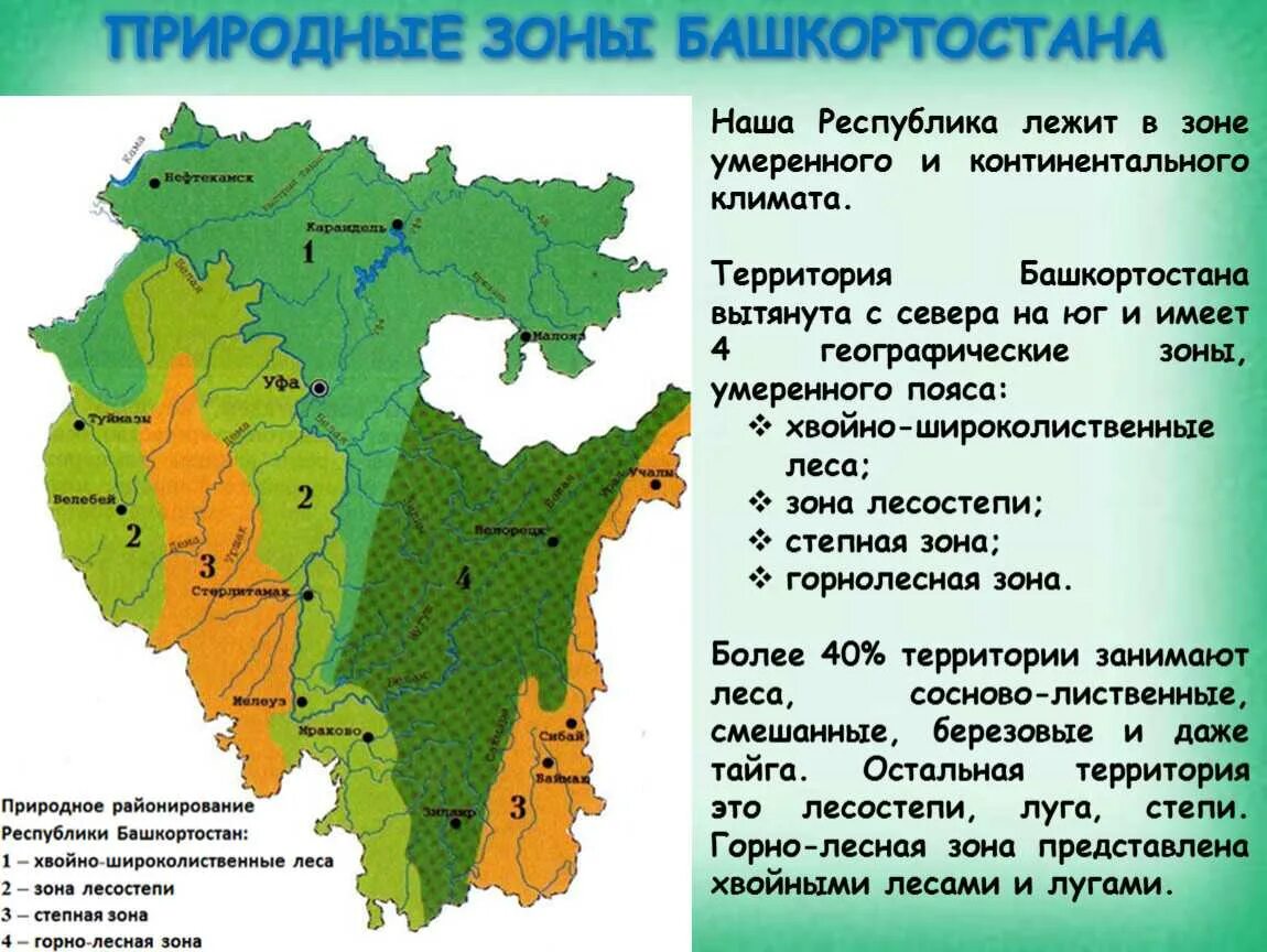 В какой зоне расположен пермский край. Природные зоны Республики Башкортостан карта. Природные зоны Республики Башкортостан карта Башкирии. Природные зоны Башкортостана 4 класс окружающий мир. Карта лесов Башкирии.