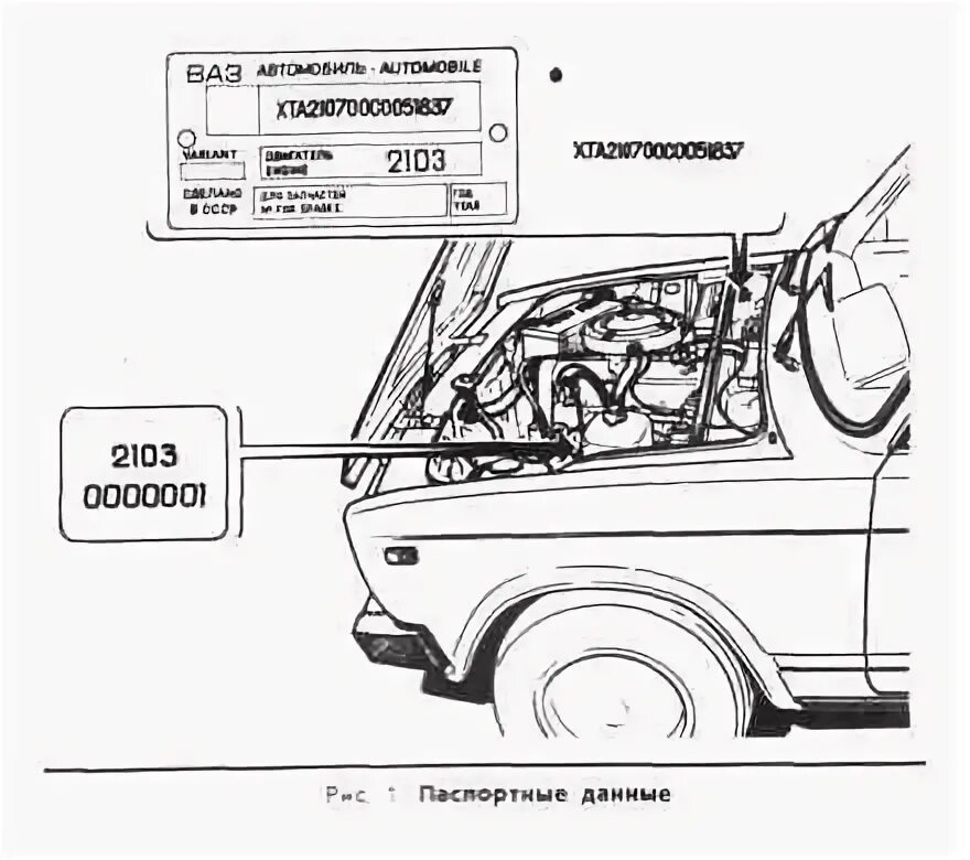 VIN кузова ВАЗ 2107. Вин номер двигателя ВАЗ 2107. Номера кузова и двигателя ВАЗ 2106. Вин двигателя ВАЗ 2107.