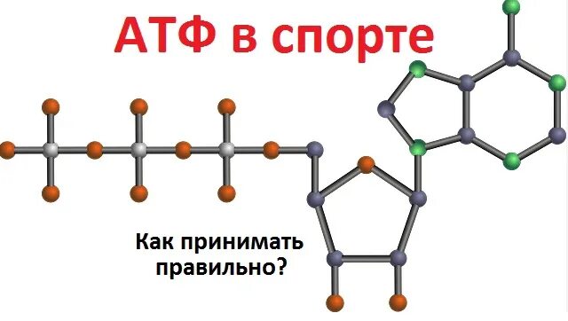 Лекарство атф. АТФ В спорте. АТФ значок. АТФ значение в спорте. АТФ лекарство.