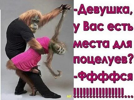 Анекдоты про целует