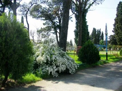 Курортная улица гячрыпш