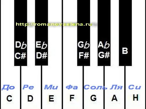 Нотная на синтезаторе. Обозначение нот на синтезаторе. Ноты для синтезатора. Пианино по нотам. Собачий вальс по клавишам на картинке