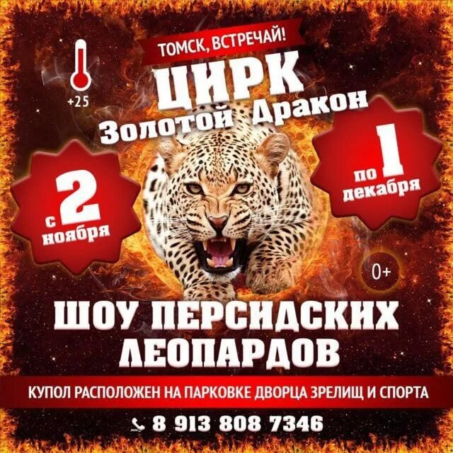 Цирк томск 2023. Цирк золотой дракон улан-удэ. цирк золотой дракон курган. цирк золотой дракон шоу персидских леопардов. цирк томск.