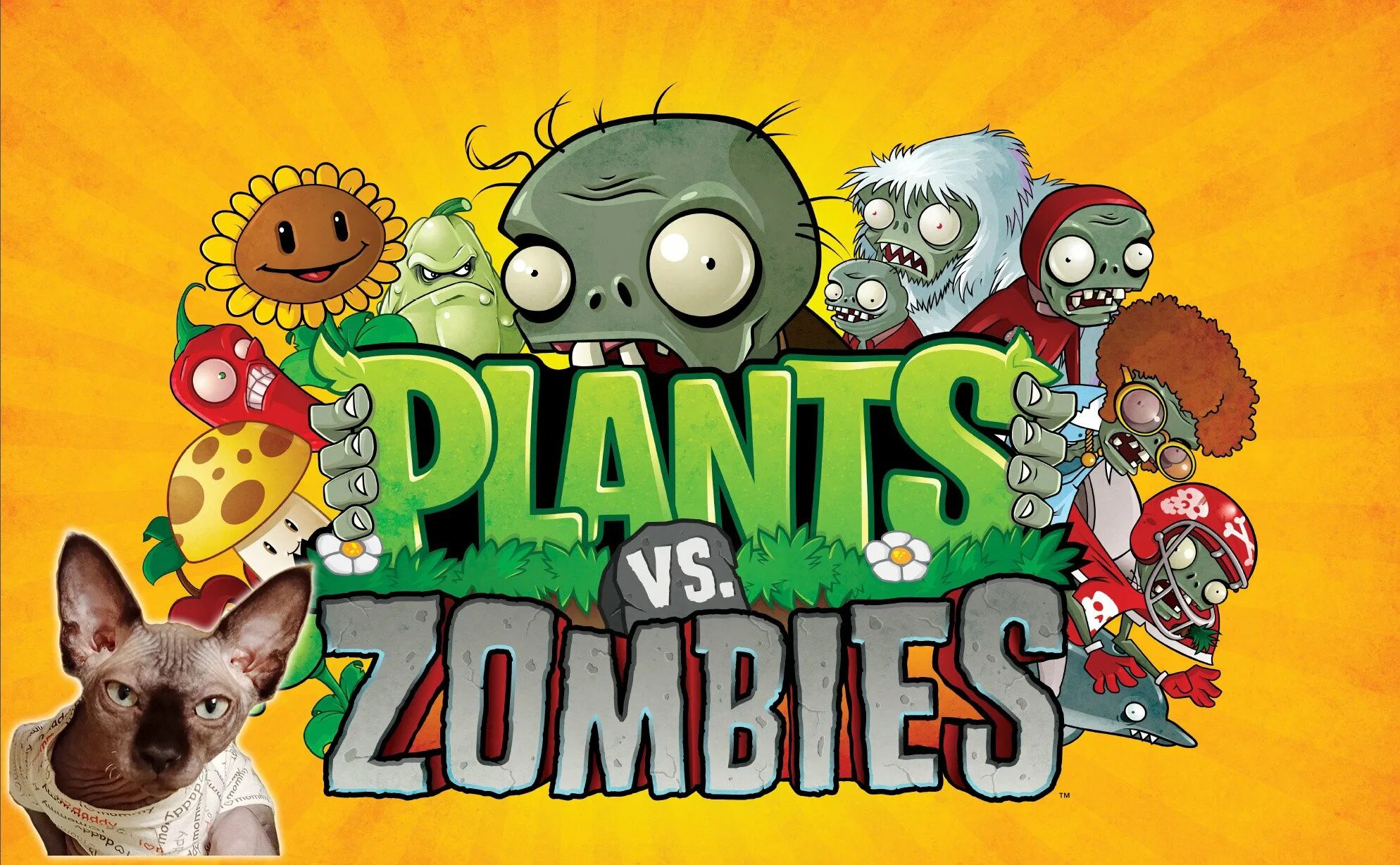 Растения против зомби 1д. Plants vs Zombies 1. Растения против зомби 2 Постер. Растения против зомби 1 зомби. Игру плантс зомби