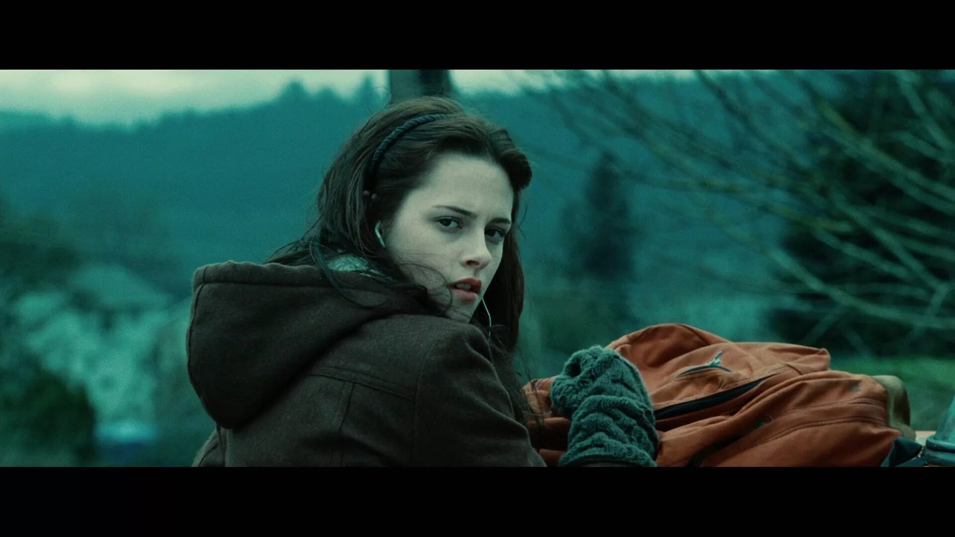 сумерки отрывок