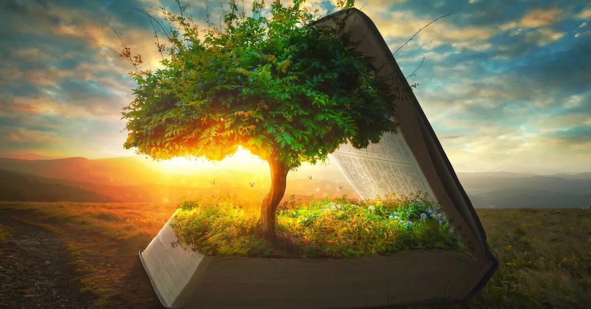 Дерево с книгами. Дерево познания. Дерево сознания. Дерево жизни.