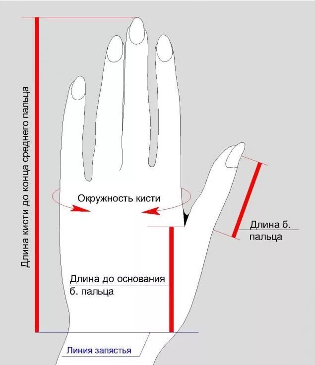 Обхват кисти. Измерить обхват запястья. Окружность плеча. Размеры рабочих перчаток. Как измеряется обхват ладони для перчаток.