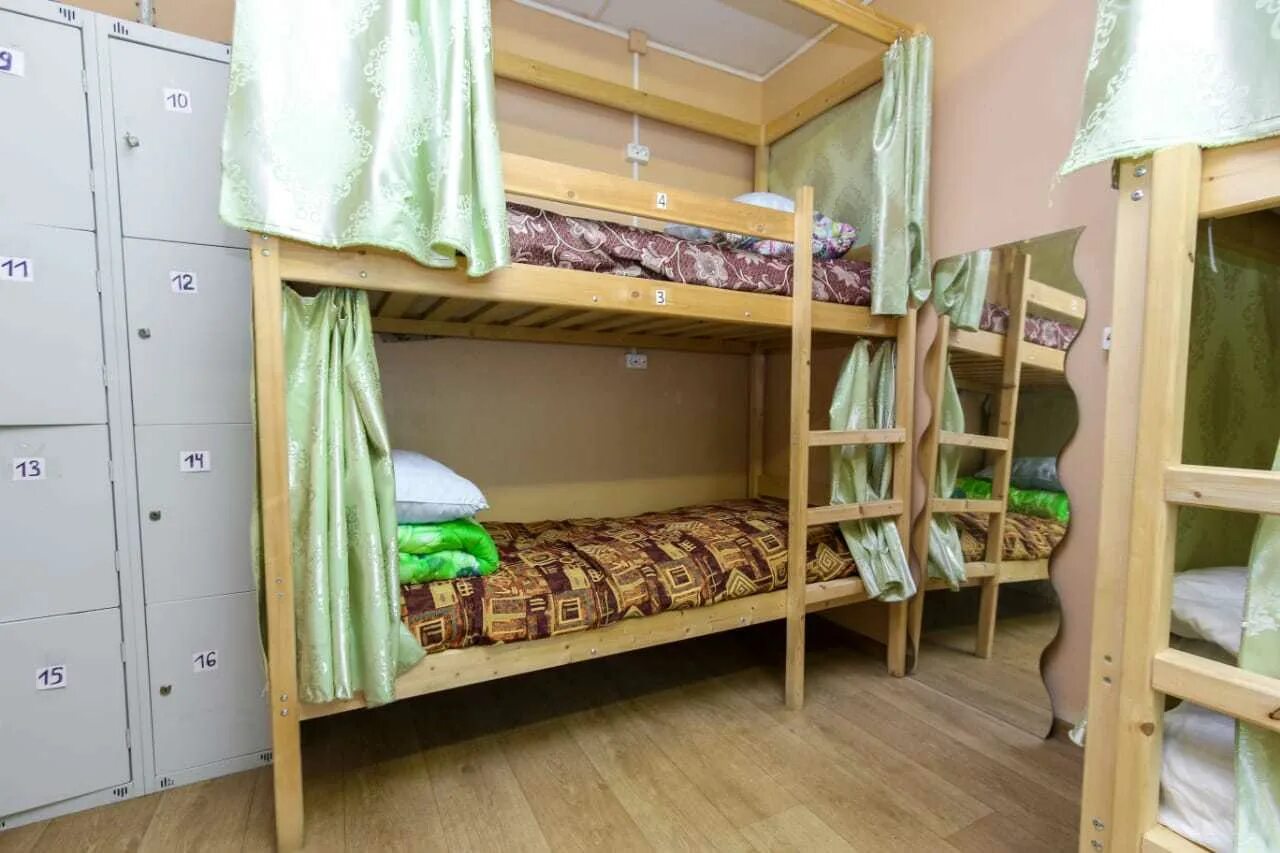 хостел сова. хостел сова на лабутина. хостел сова. санкт петербург филин хостел санкт-петербург. хостел сова санкт-петербург.