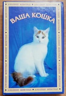 Кошечка сборник
