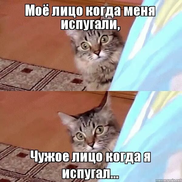 Фразы про гнилых людей. Гнилым нутром меня не испугать. Наташа умела смотреть матом картинка. Гнилым нутром меня не испугать. Гнилым нутром меня не испугать.