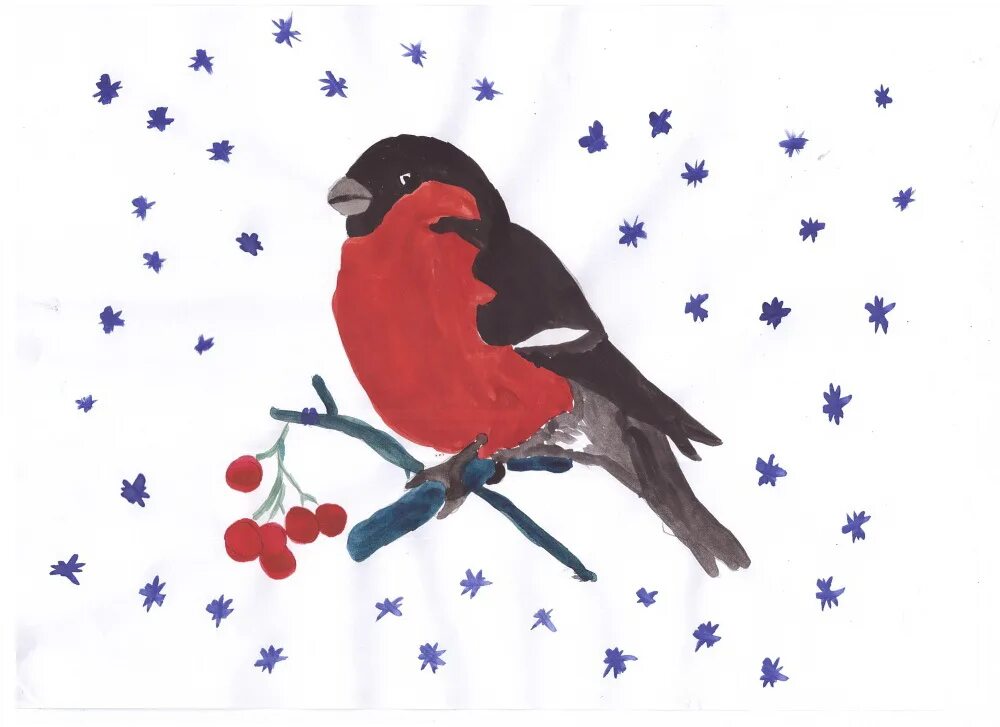 Рисование с детьми снегирь. Поэтапное рисование снегиря красками. Рисование снегирь на ветке. Поэтапное рисование снегиря красками. Рисование с детьми снегирь.