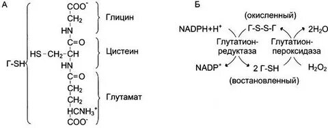 Глицин из глюкозы