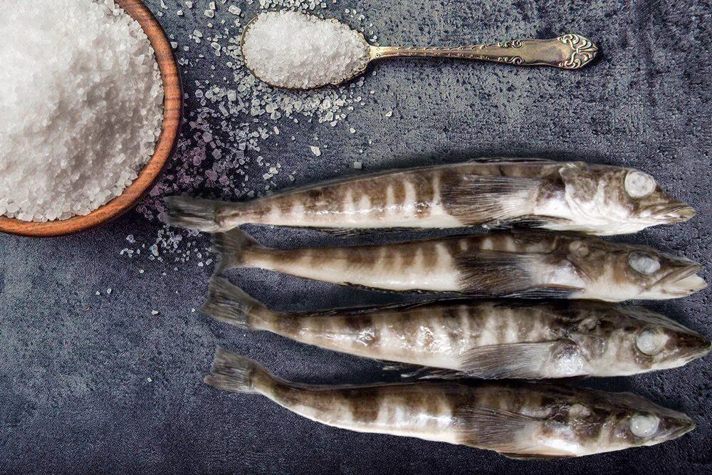 Ледяная рыба мороженая. Рыба ледянка. Рыба ледянка. Ледяная рыба. Сколько стоят ледяную.